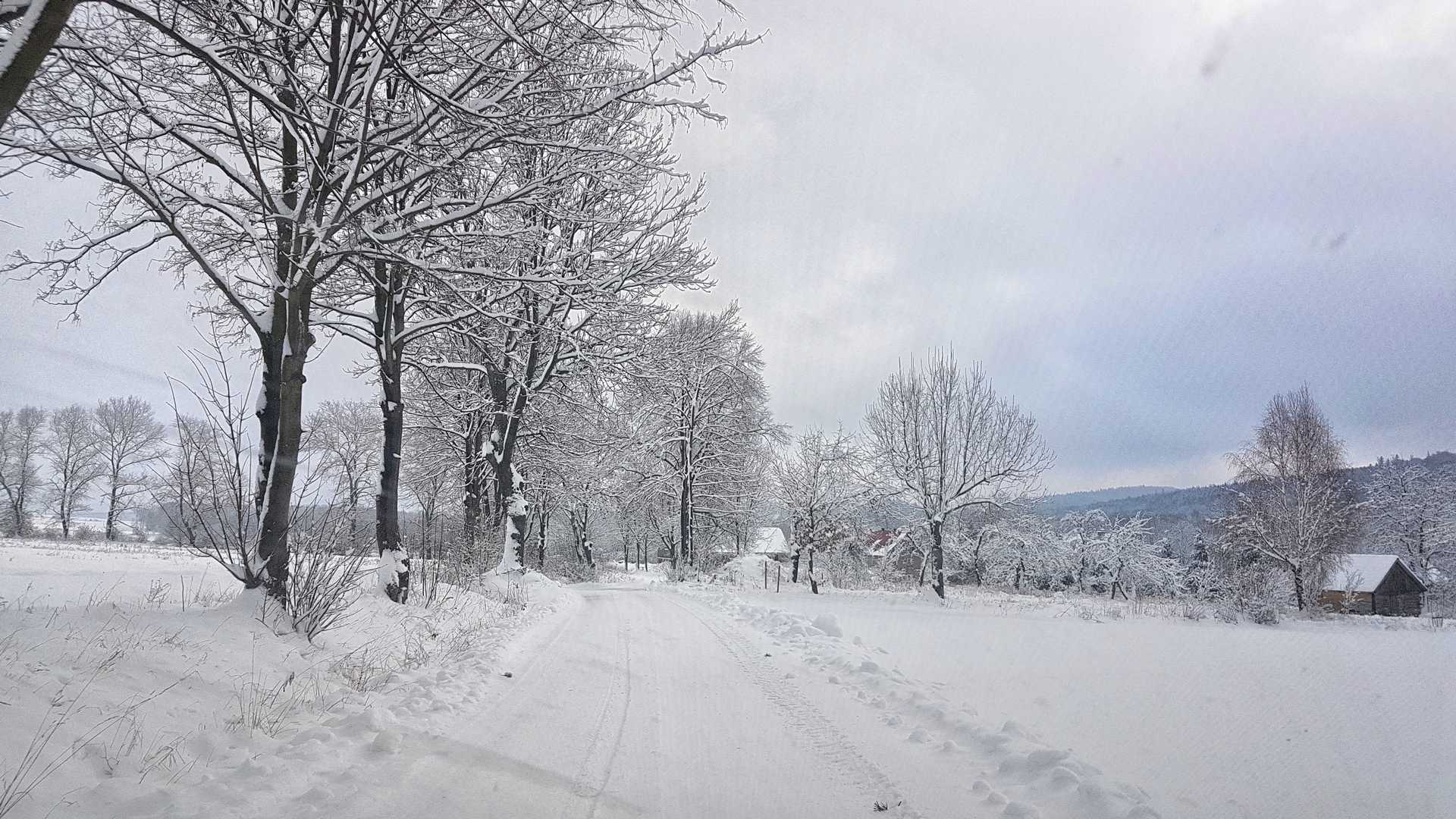 biała droga zimą