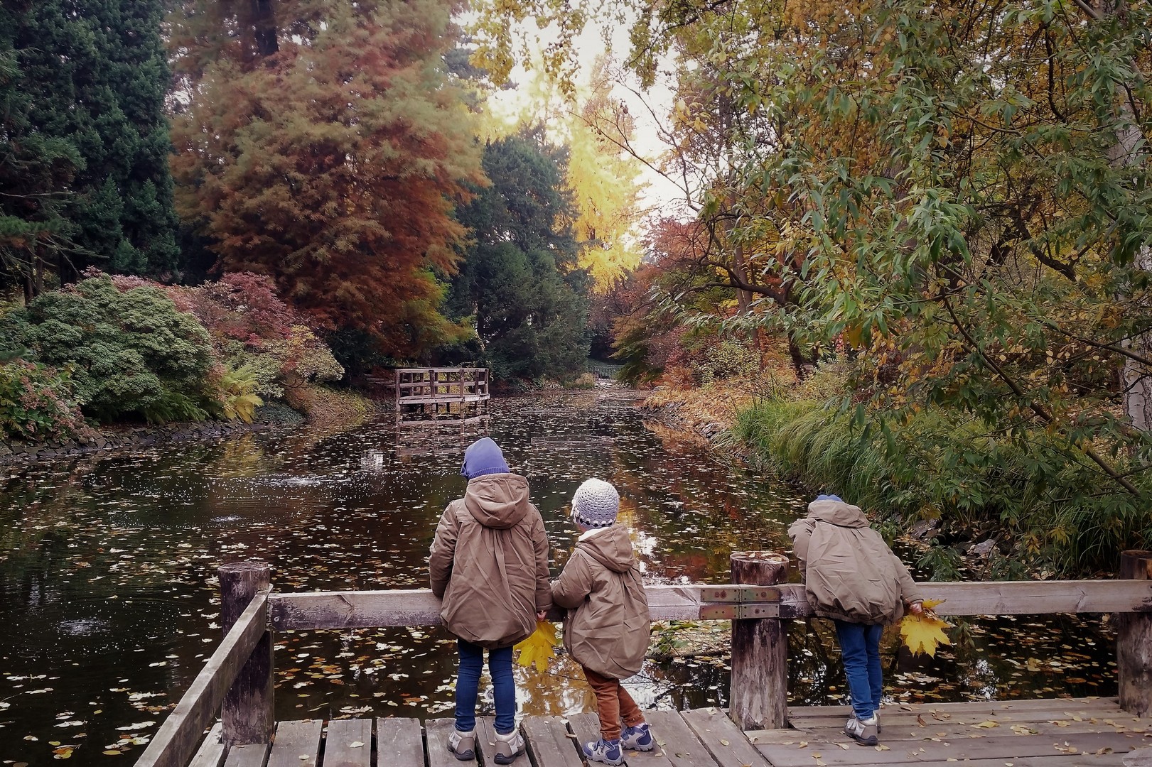 Wrocław z dziećmi ogród botaniczny jesienią