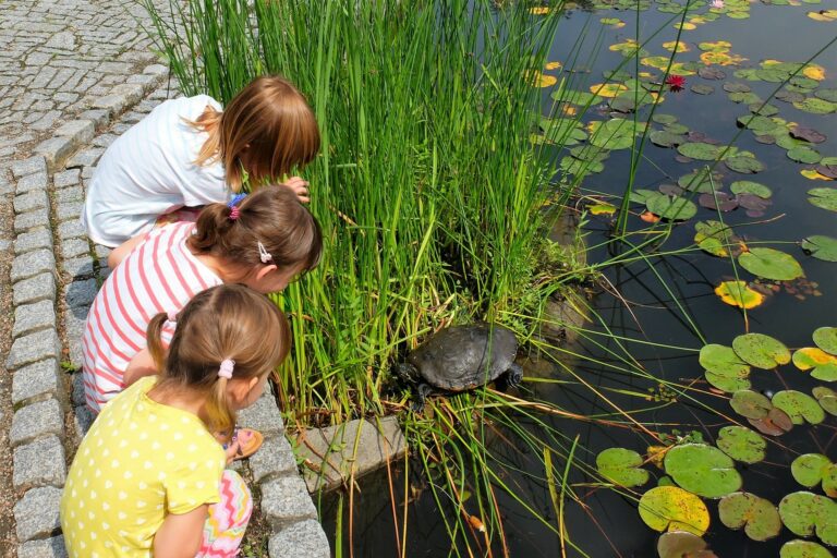 Wrocław z dziećmi: ogród botaniczny na każdą porę roku