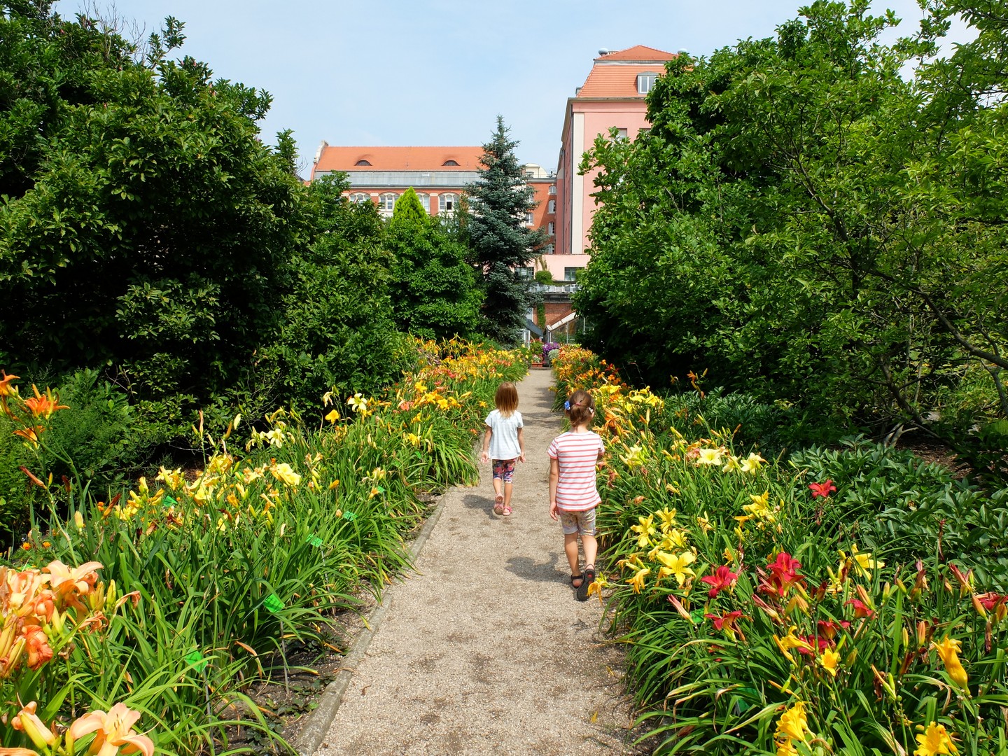 Wrocław z dziećmi ogród botaniczny latem