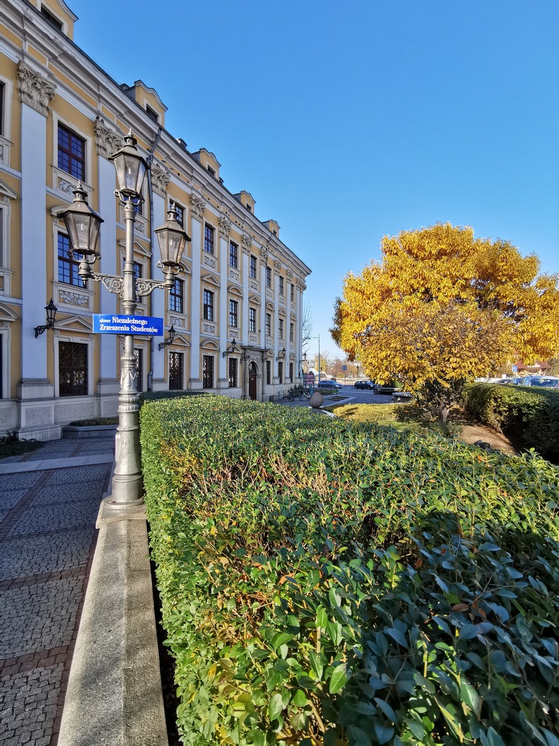 Wrocław z dziećmi, Uniwersytet