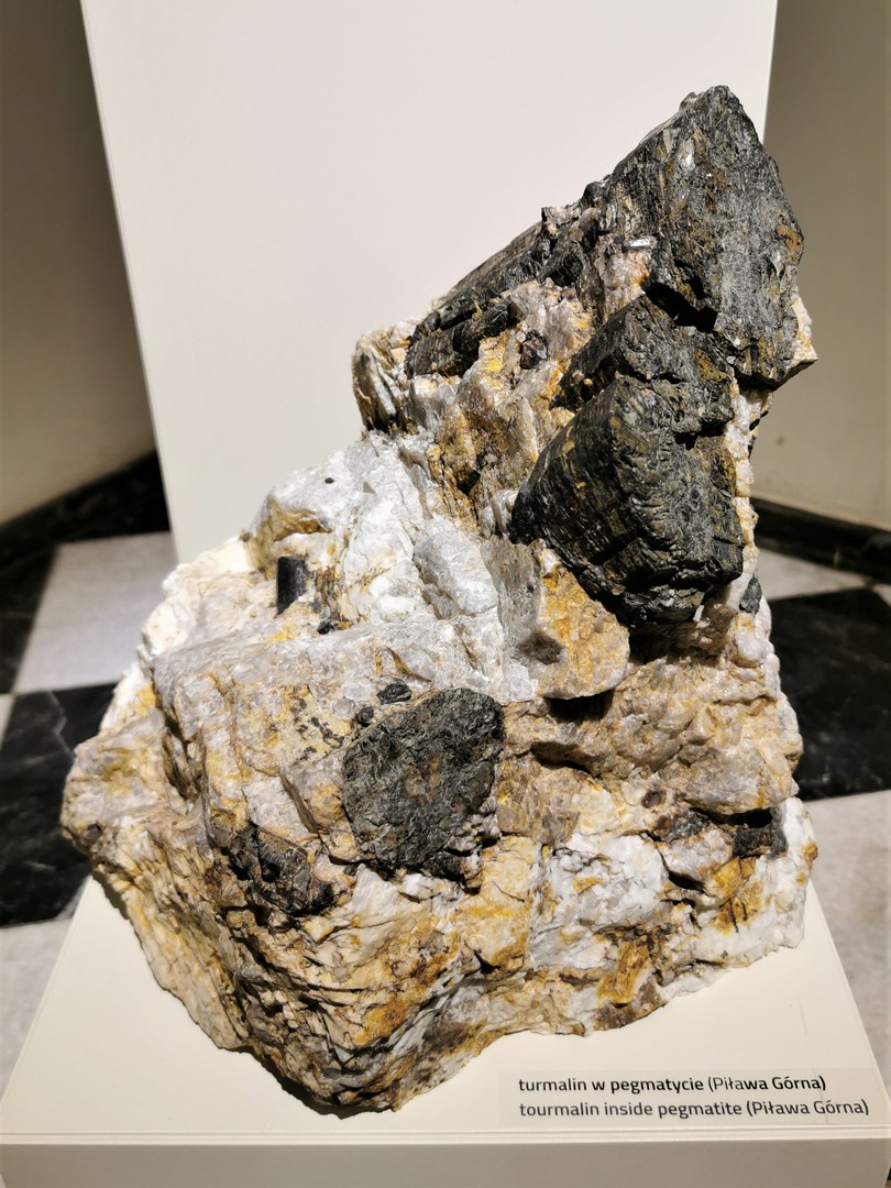 Wystawa minerałów, Uniwersytet Wrocławski