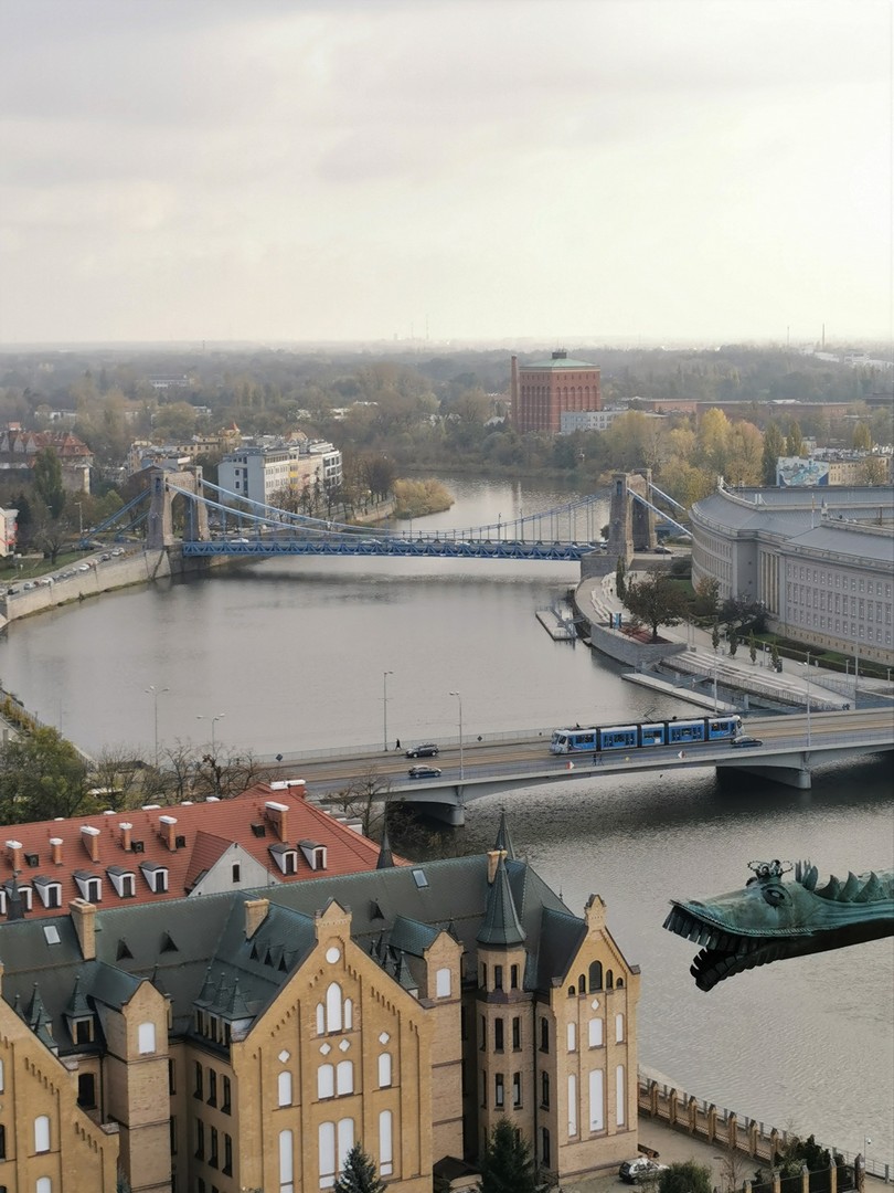 Widok z wieży Katedry, Wrocław