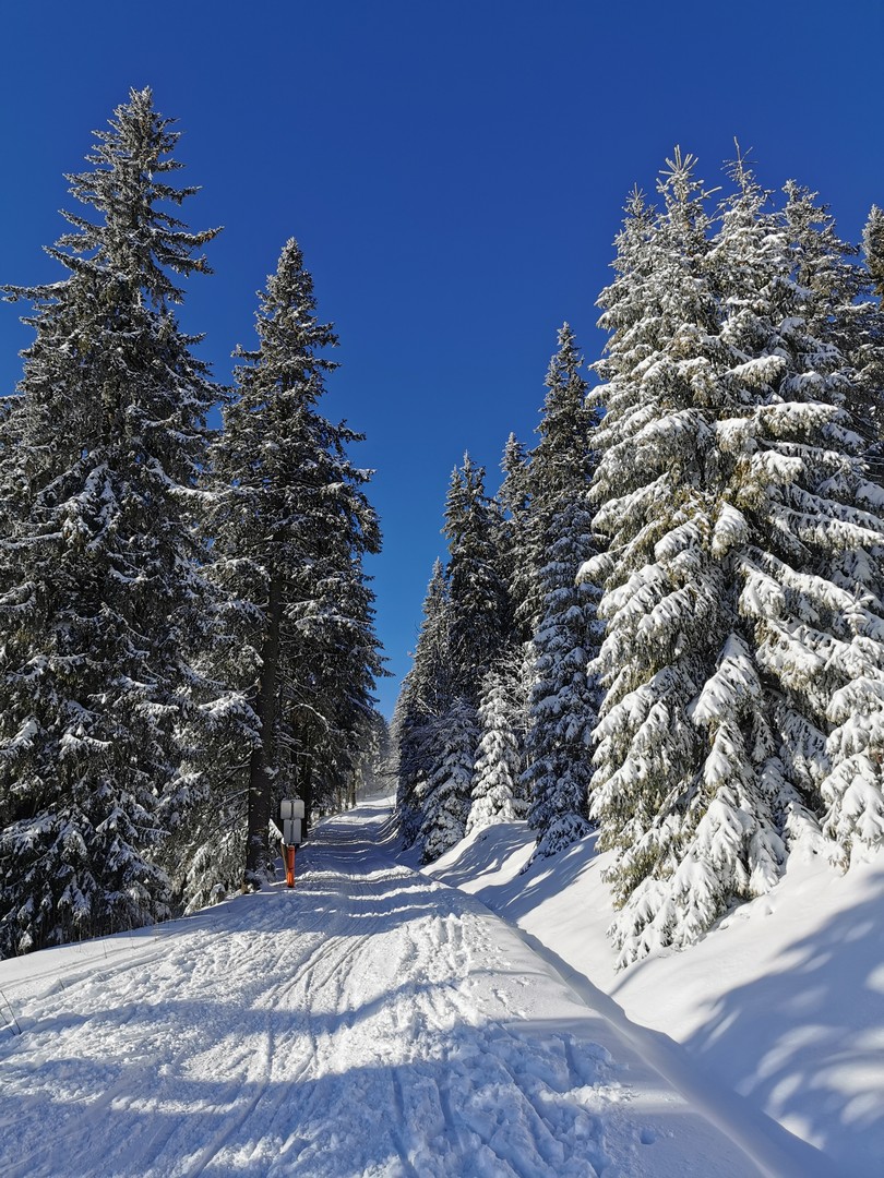 Cerna Hora Janske Lazne narty z dziećmi SilverMint