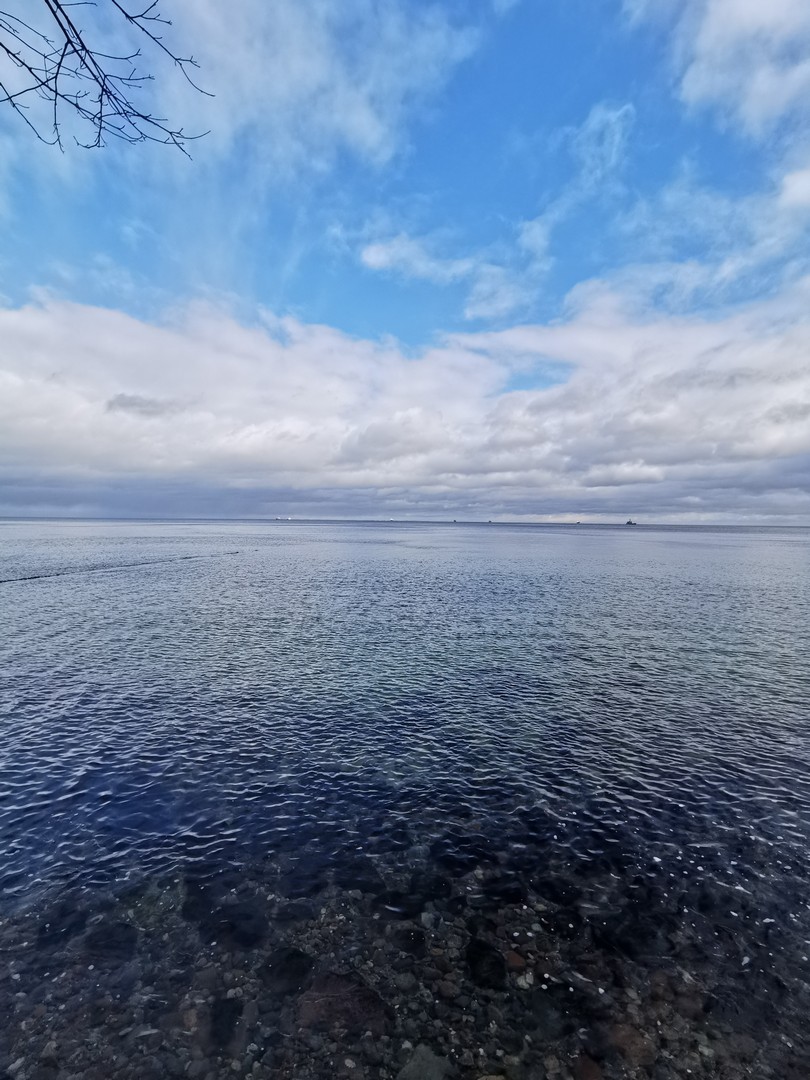 Gdynia - Kępa Redłowska widok na morze