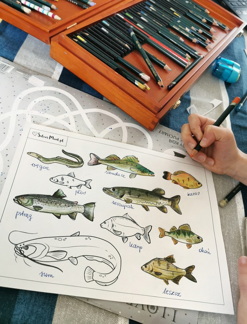 Kolorowanki ryby - pliki PDF są do pobrania z Biblioteki SilverMint