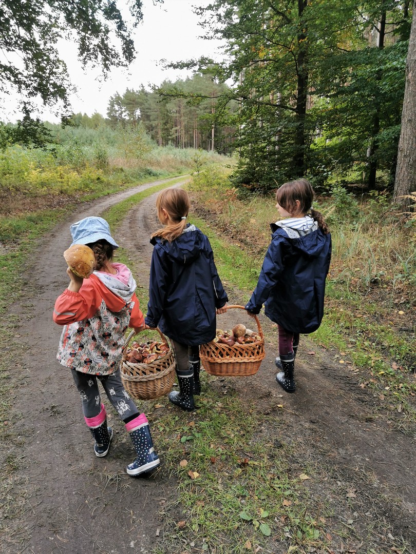 SilverMint blog gdzie na grzyby z dziećmi Dolny Sląsk