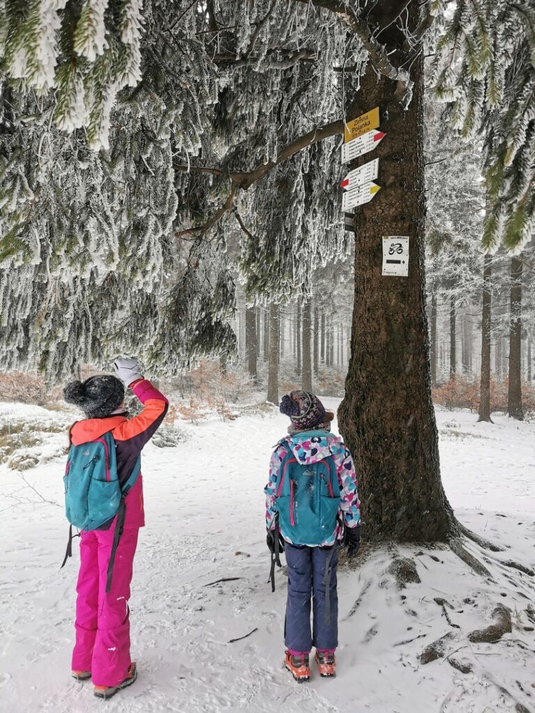 Zimowe szlaki w Sudetach: Kalenica – Góry Sowie. Co zabrać na wyjście w góry z dziećmi zimą?