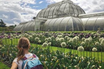 Królewskie ogrody botaniczne Kew Gardens – czy warto spędzić tam cały dzień?